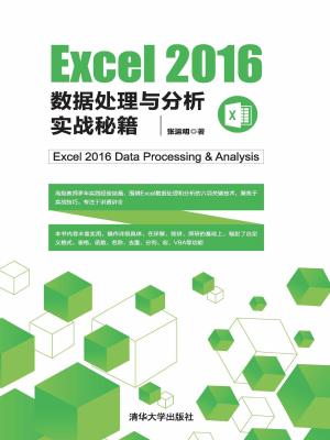 Excel 2016 數(shù)據(jù)處理與分析實戰(zhàn)秘籍 從理論到實踐的高效指南
